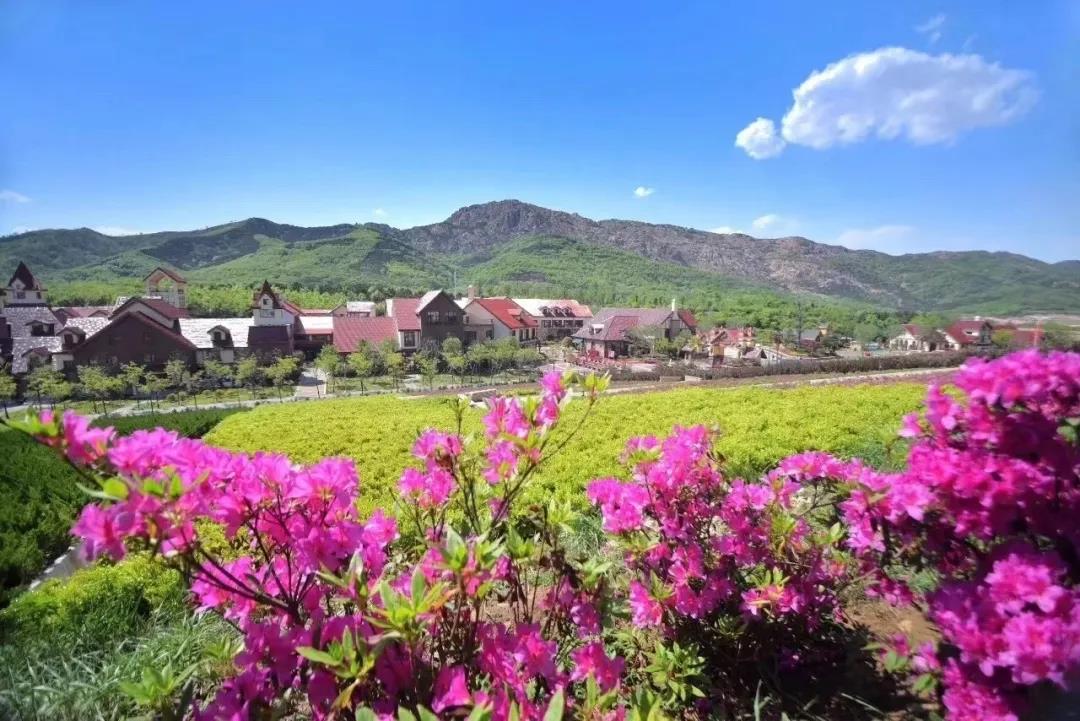 微信圖片_20210701100818.jpg 微信圖片_20210701100818.jpg